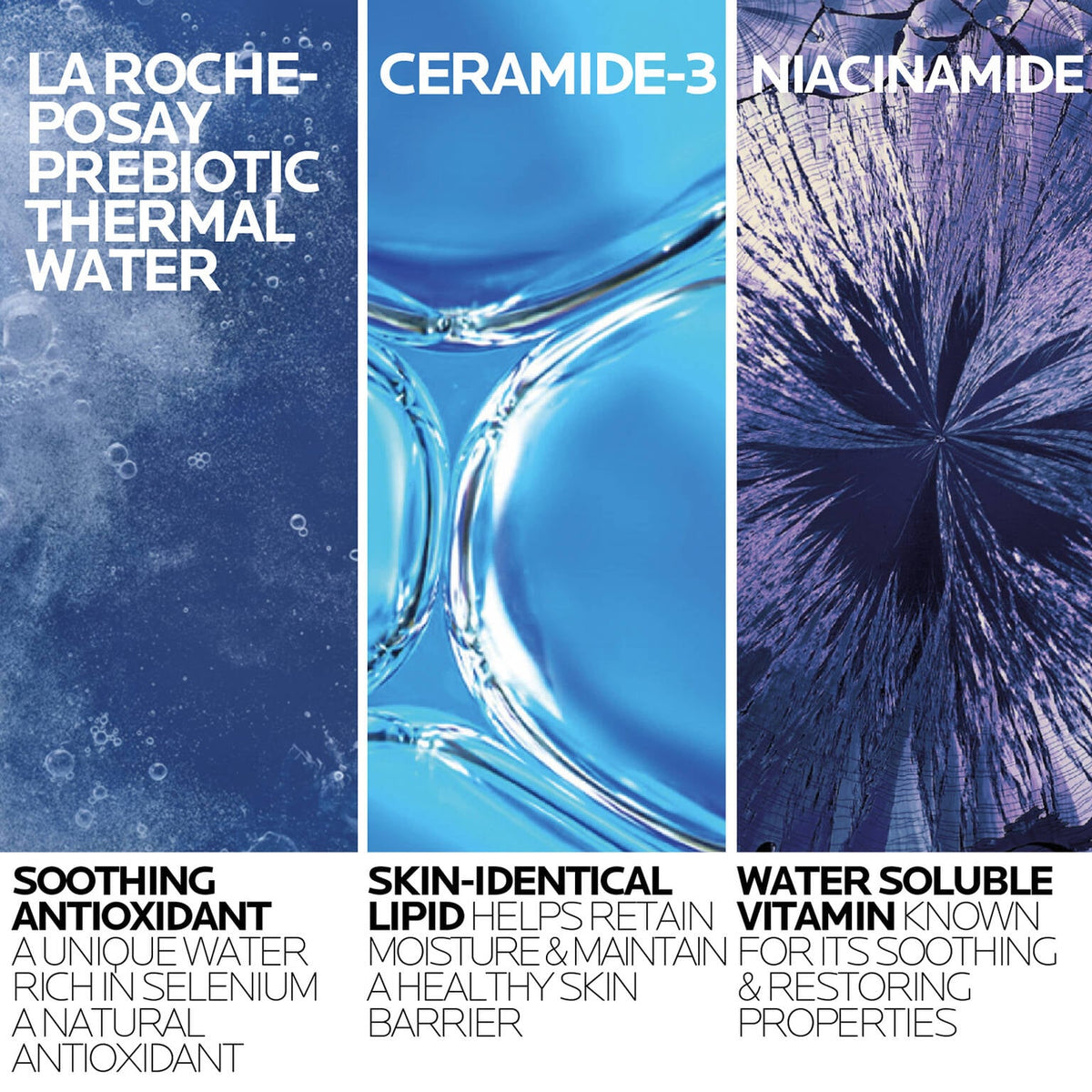 toleriane-purifying-foaming-cleanser-and-toleriane-double-repair-face-moisturizer-z3 2-TolerianeCleanserUSRefill-400ml-ATF Ingredient Science-Rev.jpg 2-TolerianeCleanserUSRefill-400ml-ATF-Ingredient-Science-Rev_29821c8577a5.jpg